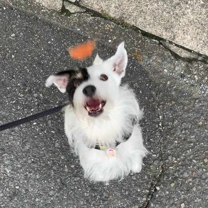 A09940f5 b77c 461c 9bd8 8fcc0f80efd4 1696979725652