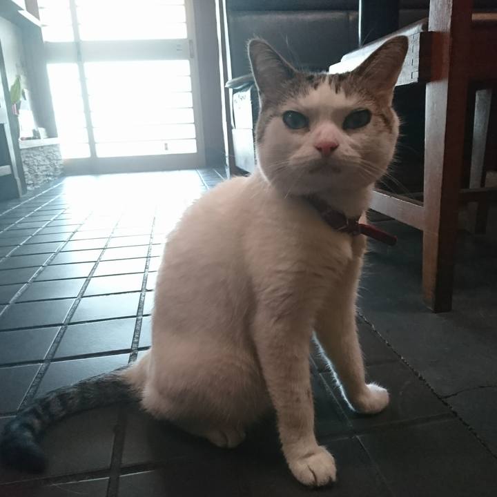 A0995895 fe6a 44b0 b8b5 f59d6a8da69d 1533270415860