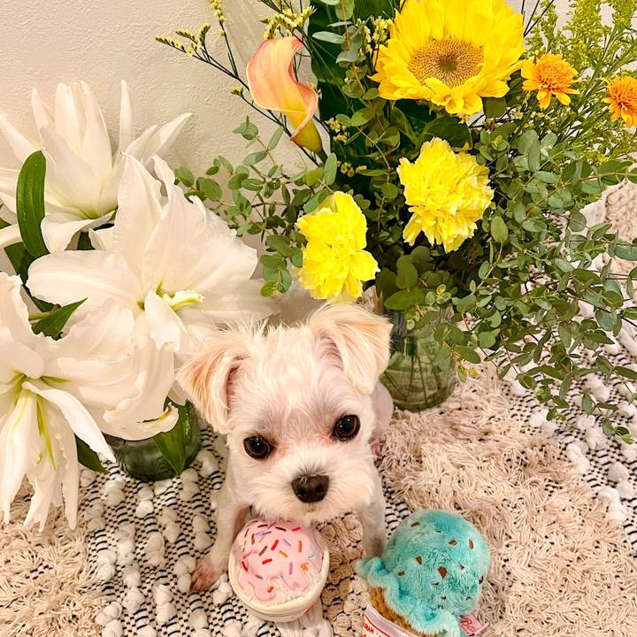 A0995de6 013c 41b9 b79e 407a1a2851c9 1688616296401