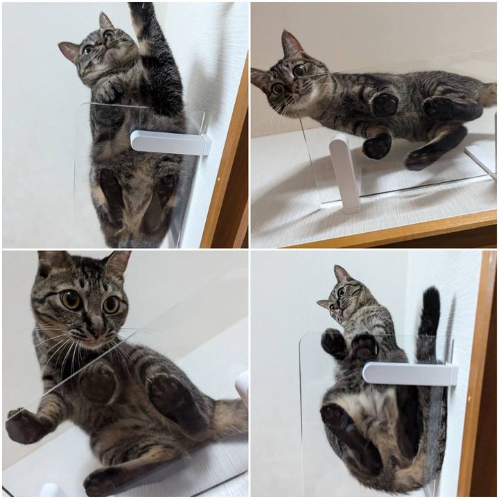 A099657f 5e2f 4147 8c3c 061c3bf63bbd 1722734717841