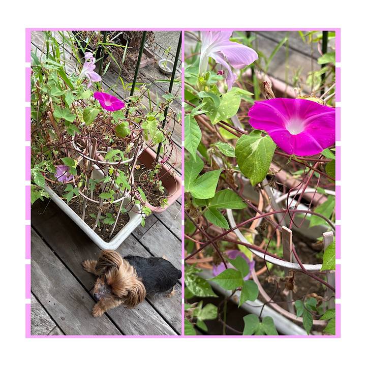 A0999ebd 67c4 424b 879d ae1f504432d6 1726872712380