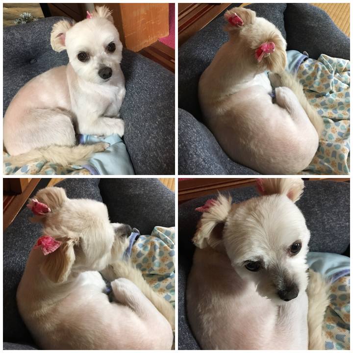 A099fdd7 83d8 4524 8dc4 b660d7c1c405 1536814264937