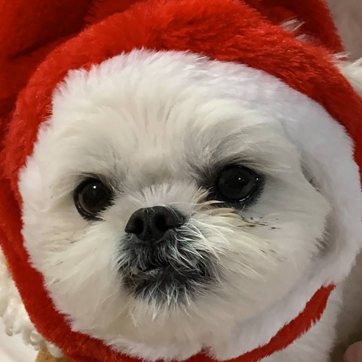 A09a072e 9da0 4d59 a7aa 89268c106b68 1640474412586