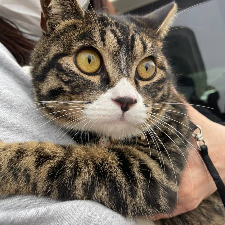 A09a11c1 10d9 458d 933f 688c25d924c7 1650865088348