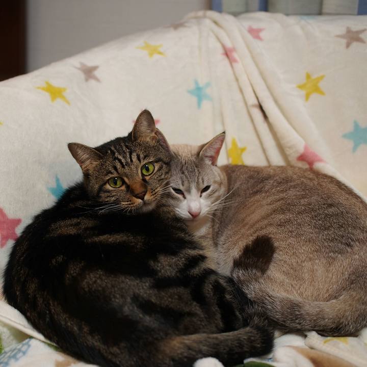 A09a3a3c 78a4 42d7 8825 b525dab5c7b1 1541926210033