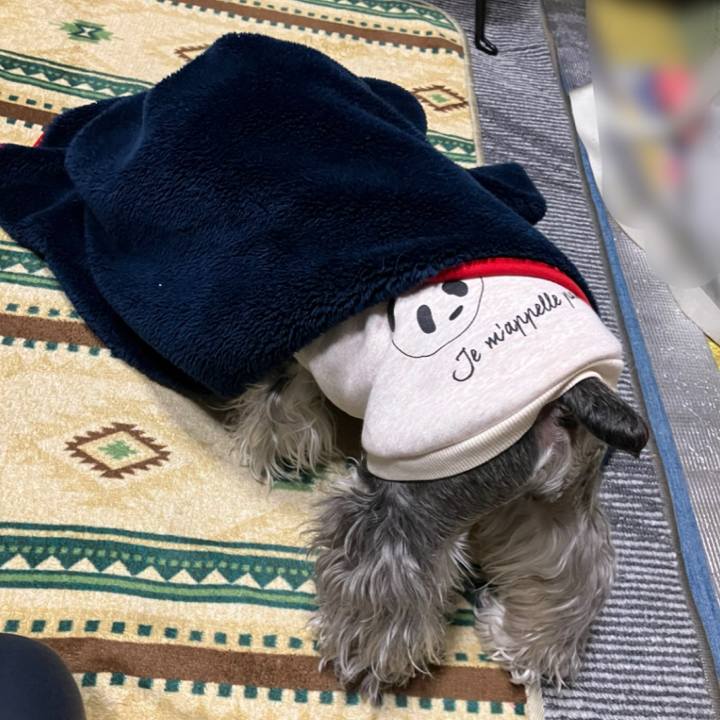 A09a586b d893 4c93 915e 1c18b4329798 1737802295980