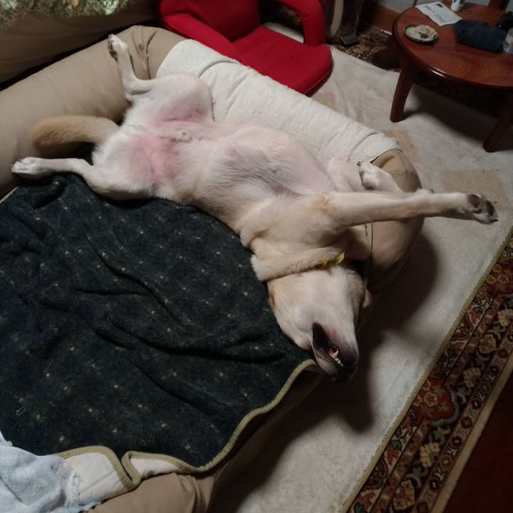 A09a7e2f b5f1 4ffe bf47 47d5c11cbdcd 1603029558922