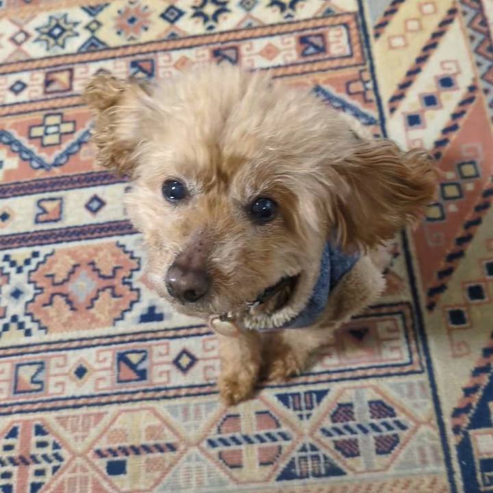 A09a97b5 8210 4522 9b65 e248899df2ec 1773540592812