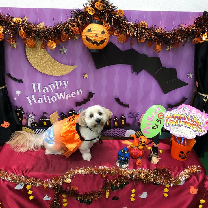 A09a98a0 7f8a 4a71 b648 c373b9768240 1508073832305