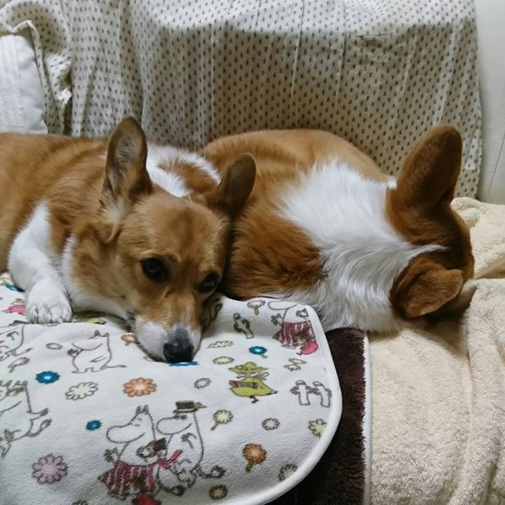 A09b2a95 1158 4d94 a851 810addf7206d 1513933716535