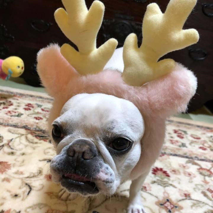 A09b9187 a767 4bc6 9716 c4495a6e53d4 1606828197179