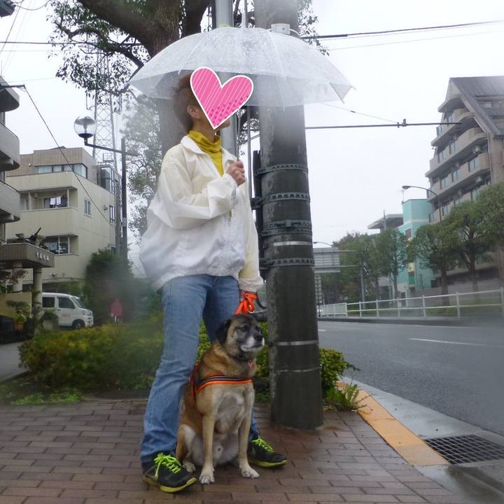 A09b9610 e2d0 489e 9105 5ef873643ebb 1580893362888