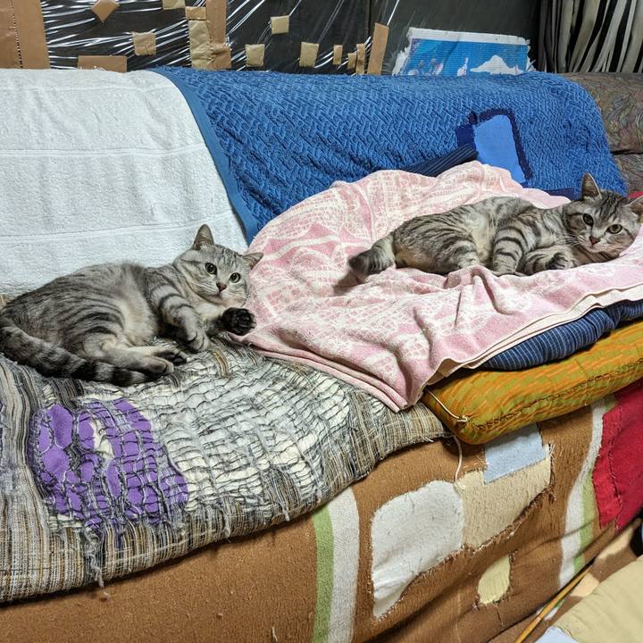 A09b9823 47cf 44e2 92ca cffc3cc97c25 1715350975020