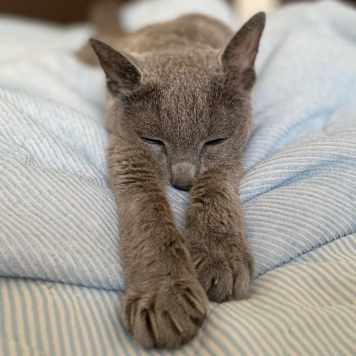 A09bd543 970a 484d 8dd6 0f263c0b8294 1632277608785