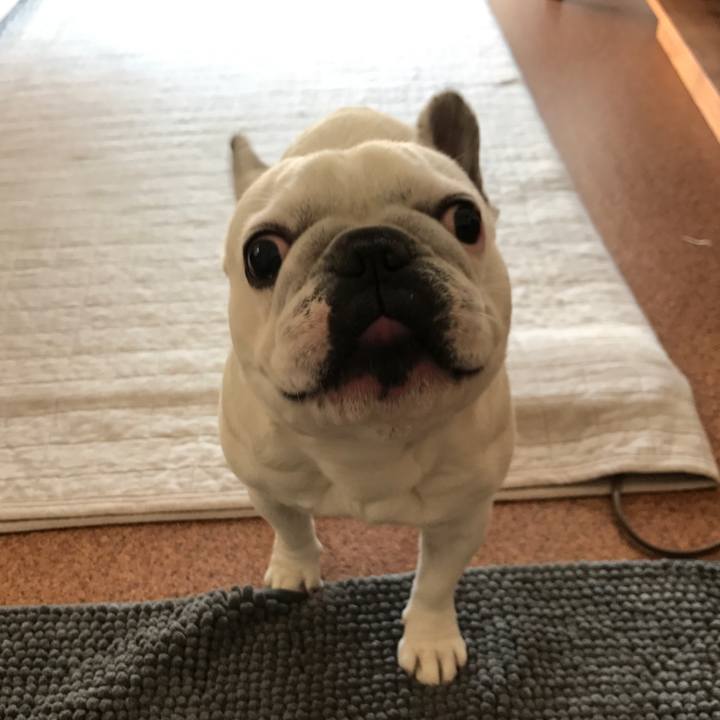 A09bd96b 002e 4b2f a5ae 2eaafe09dd29 1513475870485