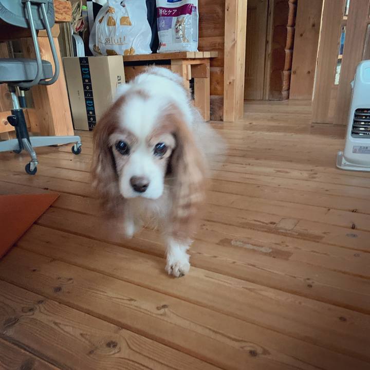 A09c1660 1bce 4769 90e2 2a21198c8ec0 1614549847136