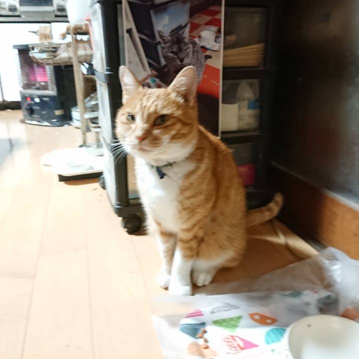 A09c8cf6 4512 4bf6 bcc2 252db750c8b2 1603654468939