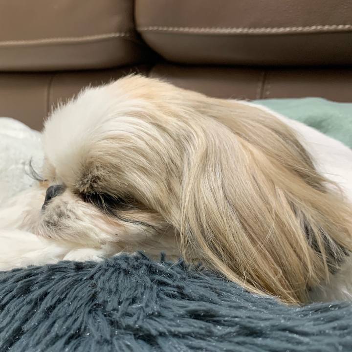 A09c9372 9f6d 4b4d 9d9d b8b9c5ec7b52 1710766587478