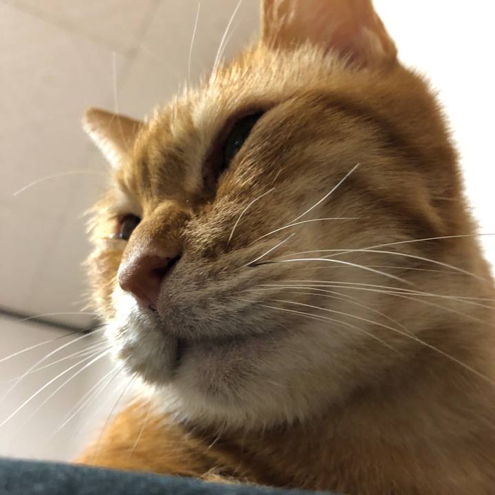 A09ca285 0ce5 481e ae64 488d2ff09aa7 1707992087956