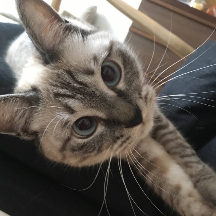 A09cae9d fb63 49a0 9b92 144add0882c6 1563246928910