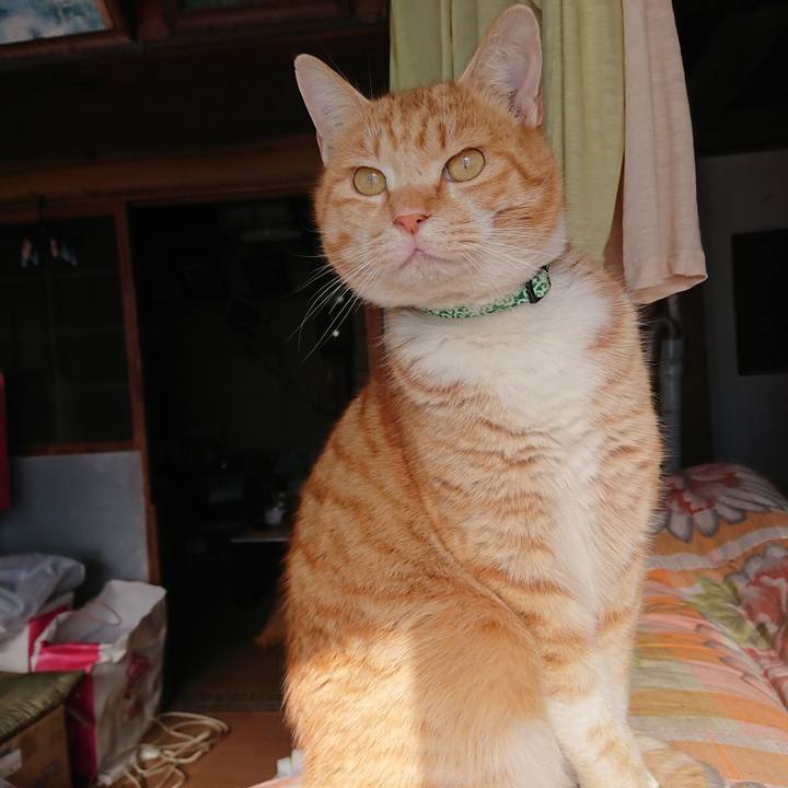 A09cb565 0c15 4eec a7b0 d0ea4c0b1555 1581221893618