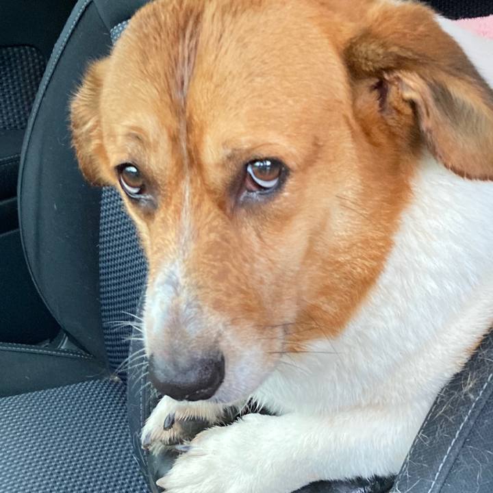 A09cbe13 487c 48c6 b0ee 1b8bb0ed4965 1758337820718