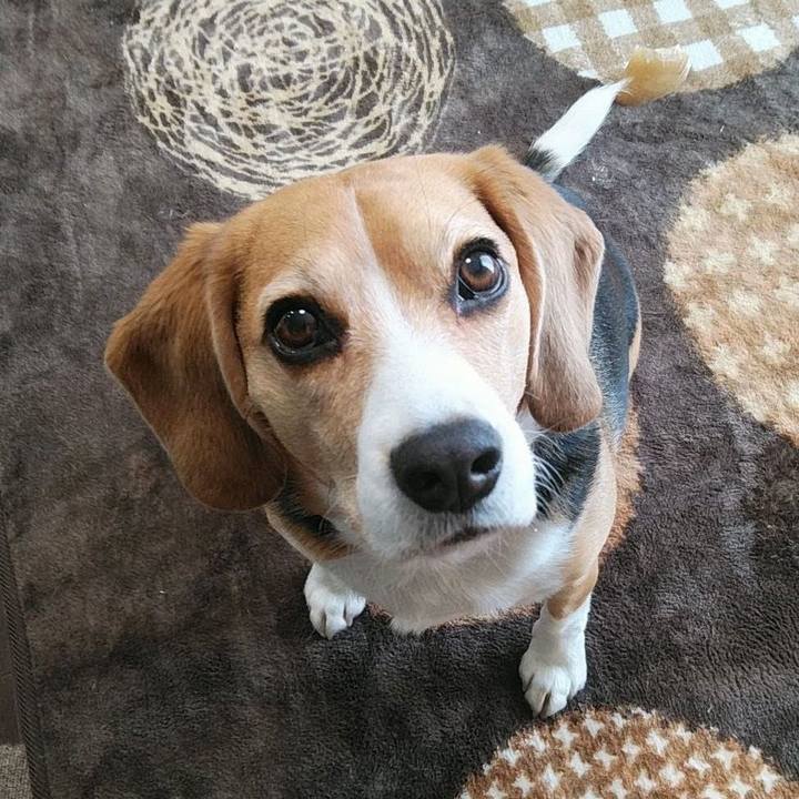 A09cdd5b f4be 435f bdac 707ff350ba68 1773706186320