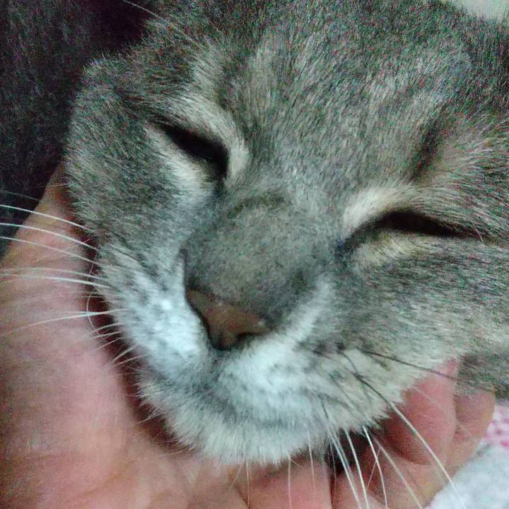 A09cf78e 2cc8 4169 b223 aac9ab51c860 1603368819107