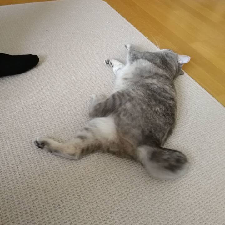 A09d0df8 1572 4a98 b373 1b7520c9aa29 1531955348934