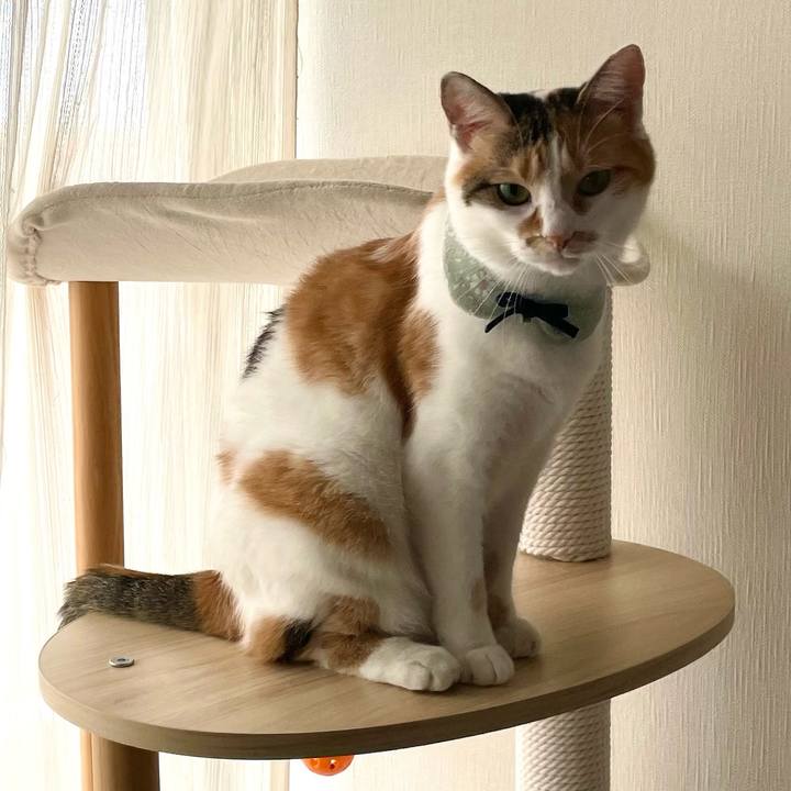 A09d17dc aef4 4f1f b5a1 0c3484b41064 1664753529417