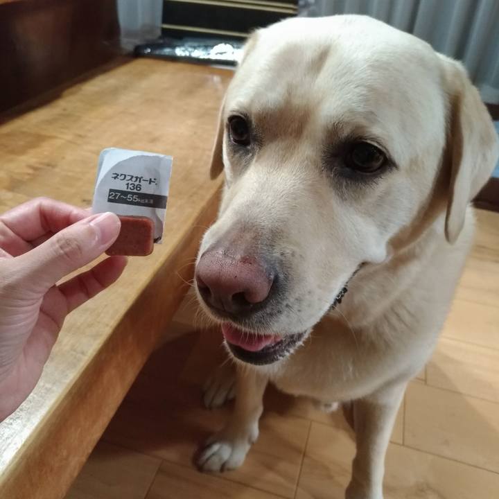 A09d1cba f696 404a a557 a74a0fc4a0b1 1626693602079