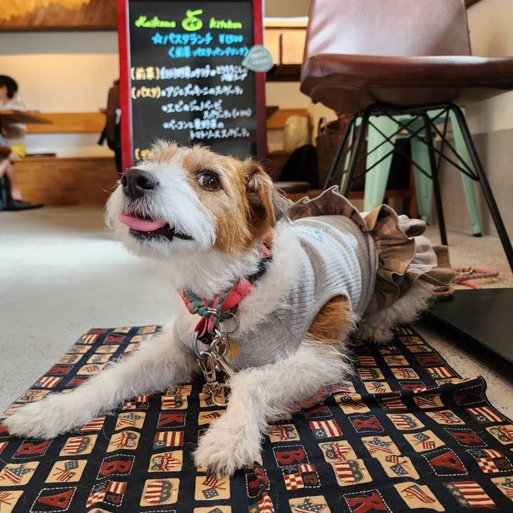 A09d2c44 8003 4c90 b855 0c5aa751abe2 1691378852617