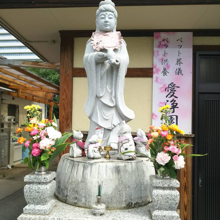 A09d54f7 5e5c 4485 9df8 f14d717a79f5 1565576323965