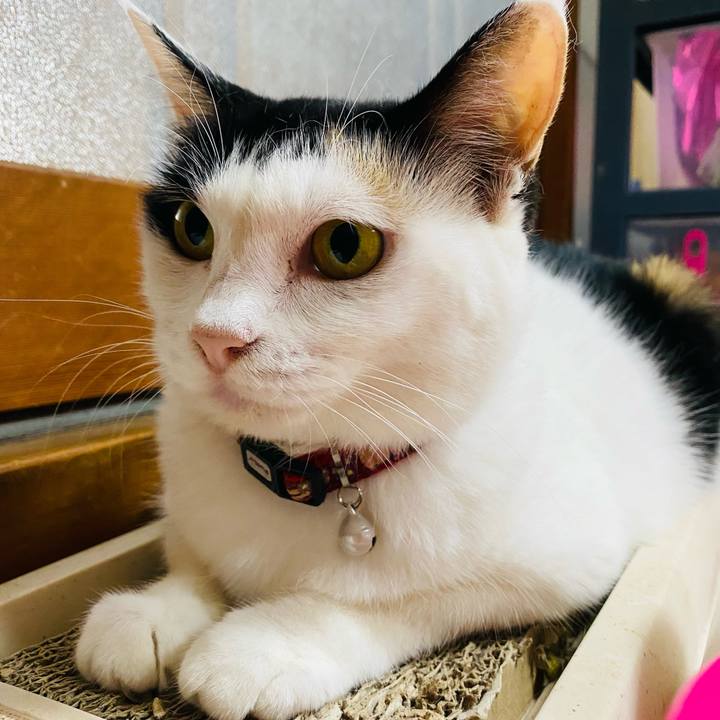 A09d7a40 b7bd 455d 8a8a 1043d6b7eba0 1662369992028