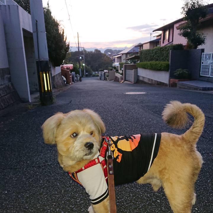 A09da7f0 1452 43c2 87a1 72133cb9e229 1605478602983