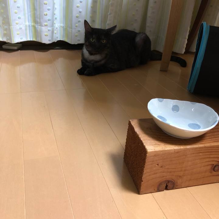 A09dddbf beae 4e70 a117 7a12885401dc 1599652871234