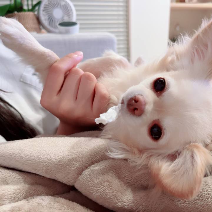 A09e0306 3a66 4b25 94af c41b6251a1c1 1712893763977