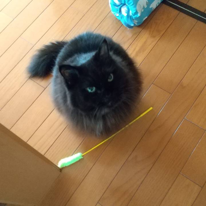 A09e056f 3aea 48a8 94b0 c84107bc8c2b 1697754164469