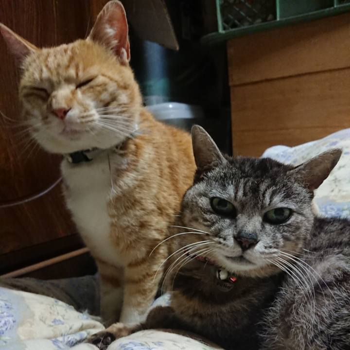 A09e14d3 8bd9 44f9 aef8 93dec226d474 1589545603875