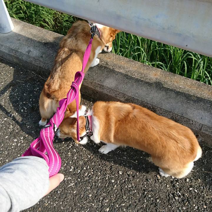 A09e36c7 d46e 49b6 ac25 3287950ef6f8 1528500088973