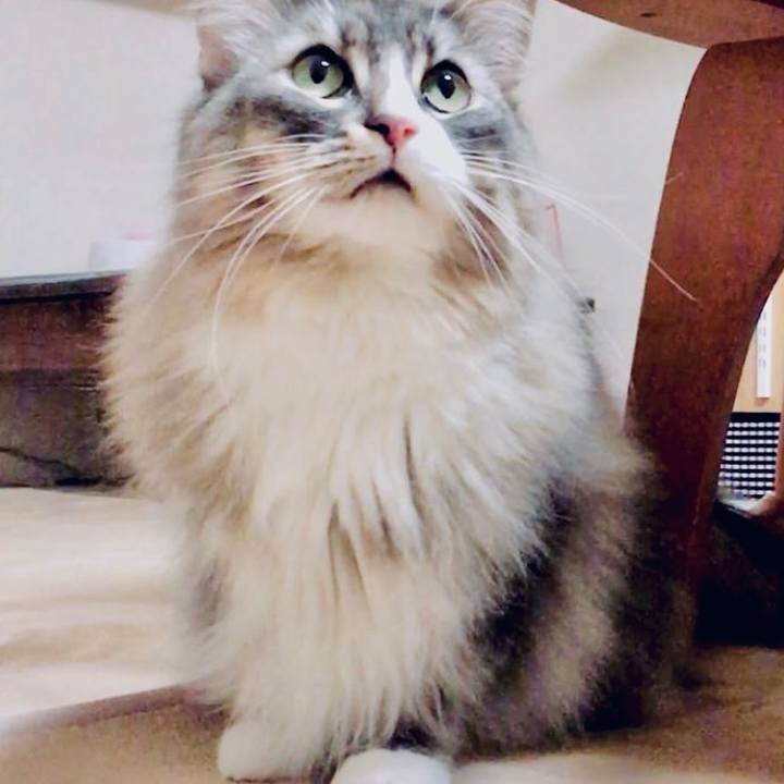 A09e7708 2c4d 4524 ae2e 9987f81f7853 1644772504839