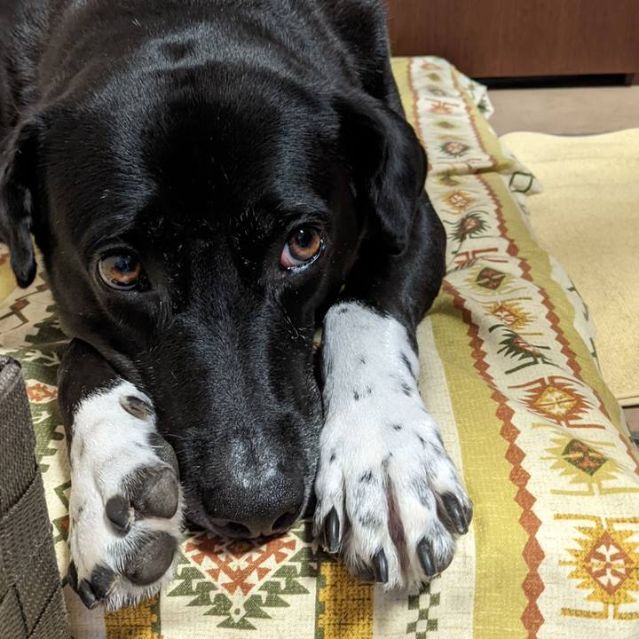 A09ea093 4a78 481a 87a2 c094f9f03337 1662588278106