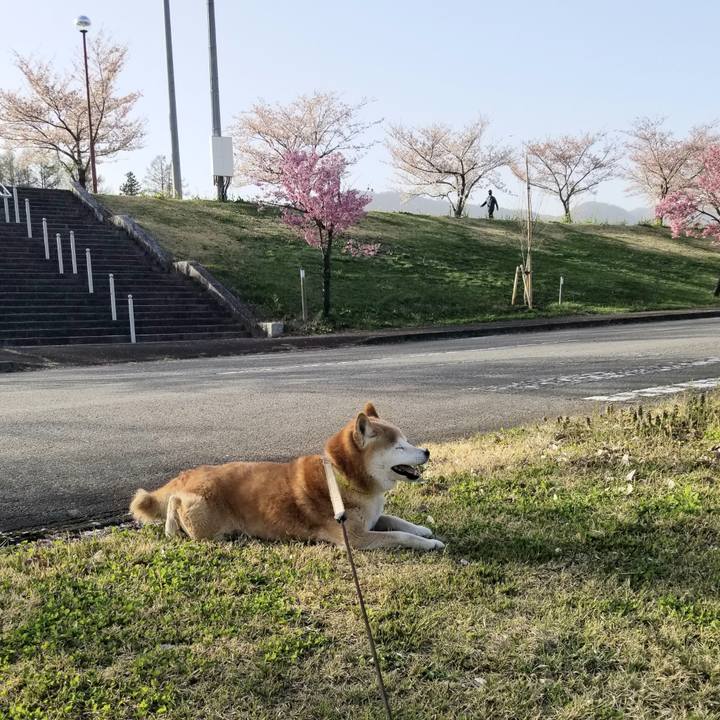 A09eb620 f83e 48d9 a6b2 01bf78205546 1681371521191