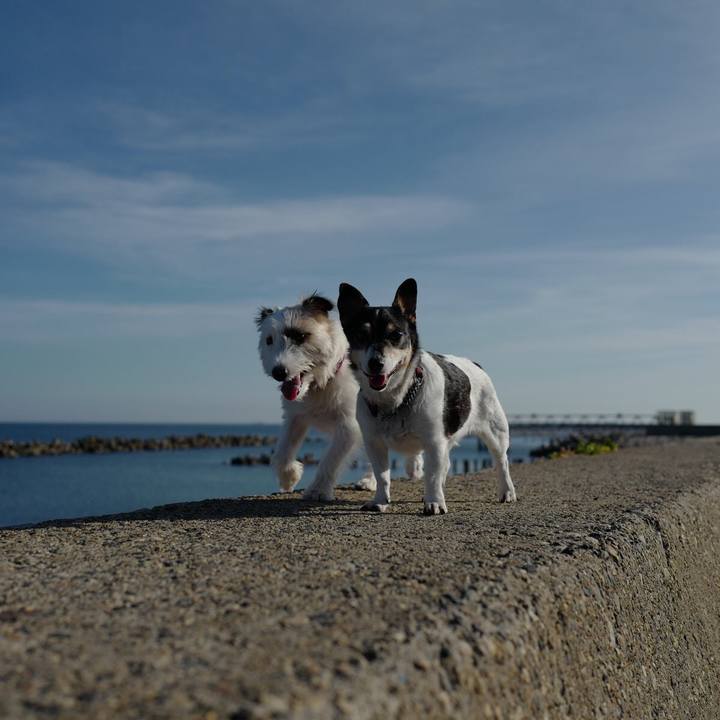 A09f0794 787c 48fa 91a4 c3baf2187e8e 1567742218938