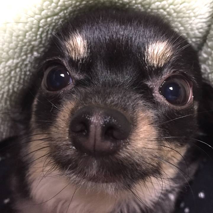 A09f0d4d cf27 498c afd3 fbf8b0efcc06 1513465940861