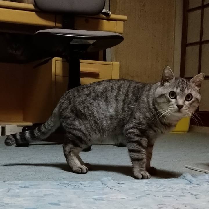 A09f4035 69af 42c4 ab6e eabdad7fd5b9 1662205225854