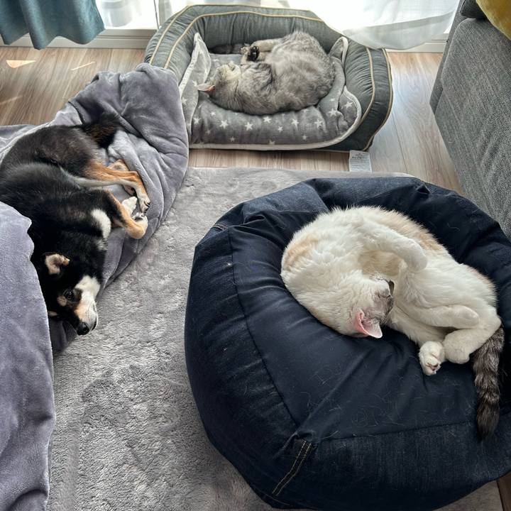 A09f55b8 c455 4dda a247 9975f84a7167 1684314643473