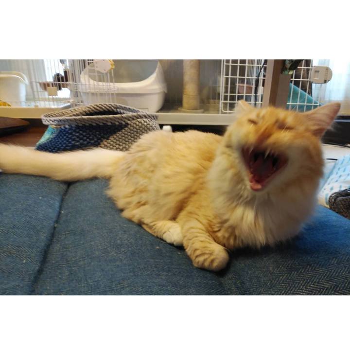 A09f6b56 6f4c 4f13 8b6e 92ef4cb84ddd 1625813235801