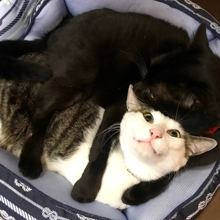 A09f7f0a b8e0 45f8 b198 9b109757accb 1550581625380