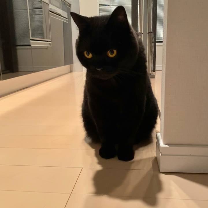 A09f9f2c 09d5 41f5 87fb 9d87226dbbbd 1723555982011